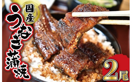 うなぎのかば焼き 2尾入り