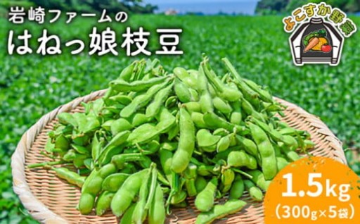 【先行予約】【数量限定100セット】はねっ娘 枝豆 1.5kg（300g×5袋）【有限会社岩崎ファーム】