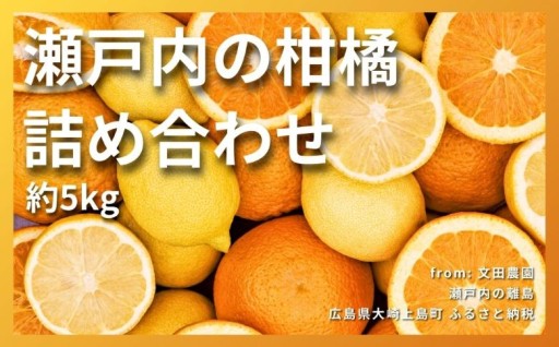 ＜食べ比べ＞柑橘詰め合わせ 約5kg7~8種 【2027年2月中旬発送開始】