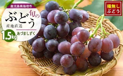 しっかりとした甘さ🍇迫田果樹園の種無しぶどう！あづましずく約1.5kg
