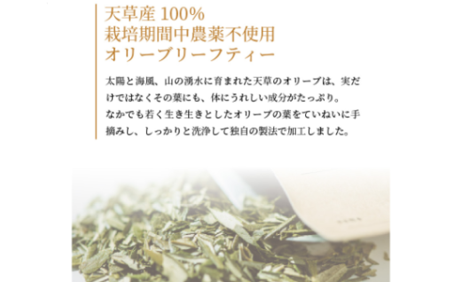 5月25日は「主婦休みの日」🏠　天草の恵みで自分にご褒美を💗✨