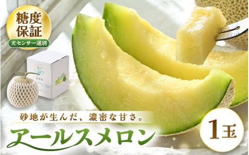 【先行予約】 糖度15度以上！「アールスメロン（緑肉）」🍈