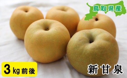 とんでもない甘さ！プレミアム新甘泉 3kg前後🍐