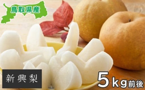 🍏甘みと酸味のバランス良し🍏新興梨 5kg