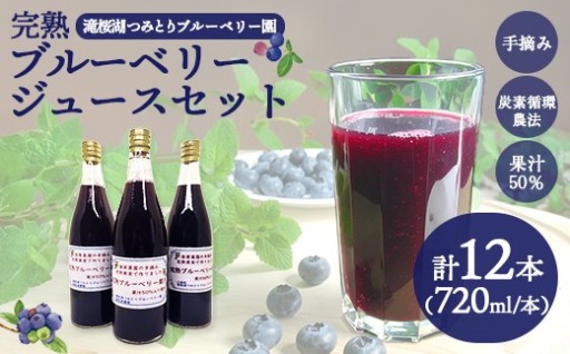 完熟ブルーベリージュース720ml×12本