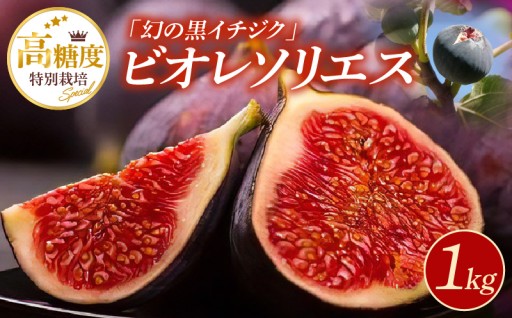 特別栽培 ビオレソリエス（黒イチジク）