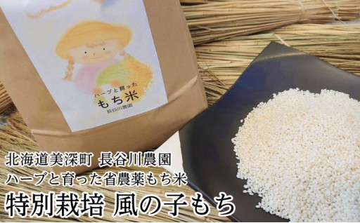 ハーブと育った省農薬の特別栽培もち米　風の子もち