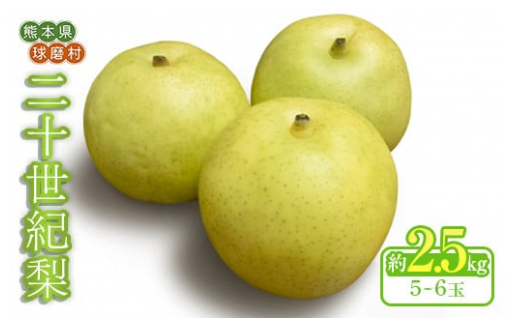 ＼球磨村産梨🍏先行予約／受付開始しました！