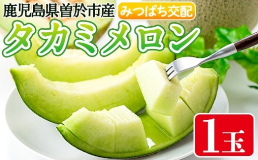 タカミメロン(1個入・1.6kg～) 