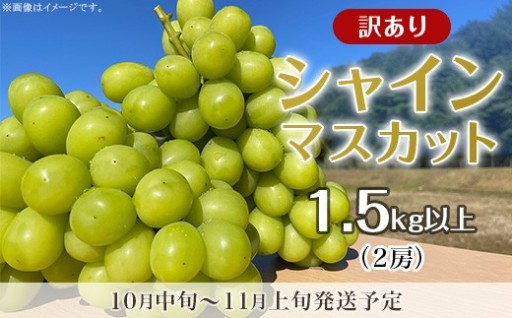 【訳あり】シャインマスカット 2房（1.5kg以上）
