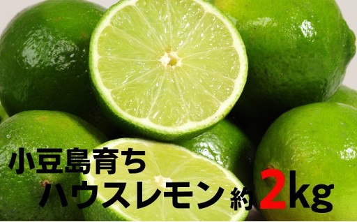 先行予約受付中！小豆島ハウスレモン 約2kg 
