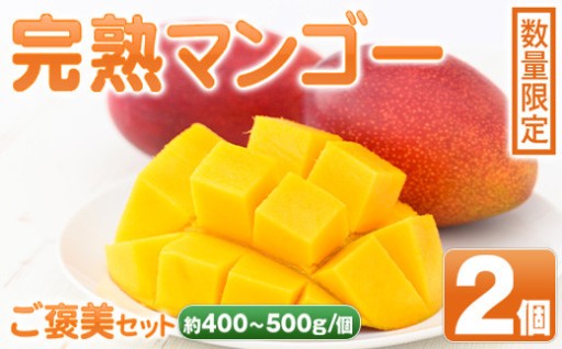 肝付町産完熟マンゴーご褒美セット
