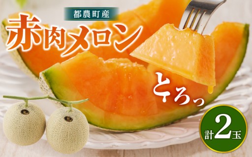 【宮崎県都農町】📢先行予約受付中📢都農町産「赤肉メロン」計2玉🍈