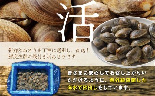 🌊🌊北海道 野付産 大粒天然あさり 2kg前後🚢
