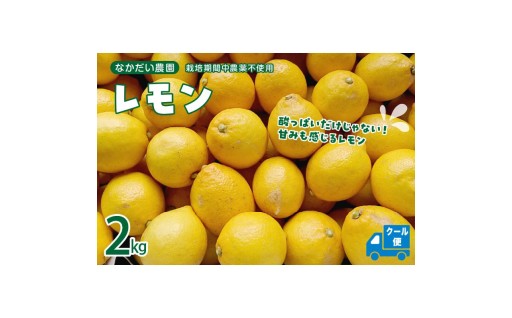 【広島県呉市】🍋栽培期間中農薬不使用「レモン」約2kg🍋