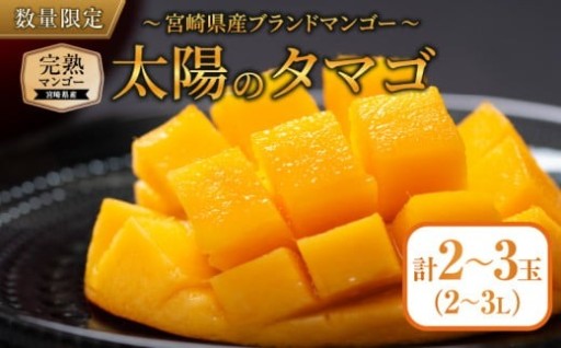 ＼濃厚な甘味!!／完熟マンゴー太陽のタマゴ🥭