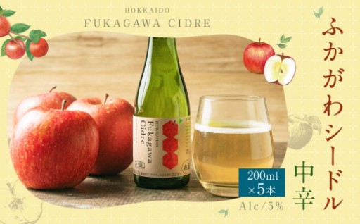 北海道深川市産りんご使用 果実酒 ふかがわシードル 飲みきりサイズ ＜中口＞ 200ml×5本セット 