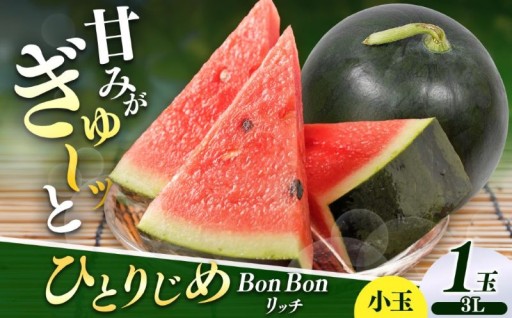 【先行受付】松本市 波田産 小玉すいか ひとりじめBonBonリッチ 3L(2kg～2.5kg)１玉