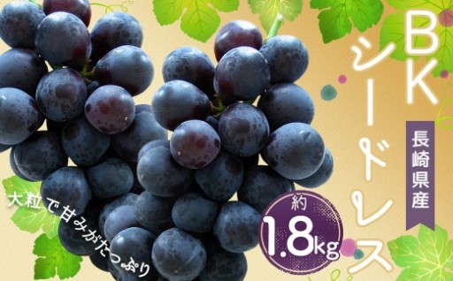 時津町産 BKシードレス 約1.8kg【2026年8月下旬～9月上旬迄発送予定】
