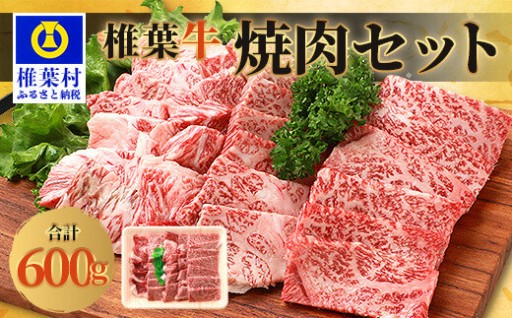 宮崎県産 椎葉牛 焼肉セット 600g 