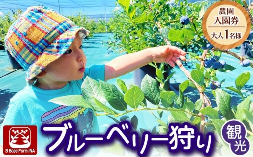ブルーベリー狩り観光農園入園券（大人1名様）