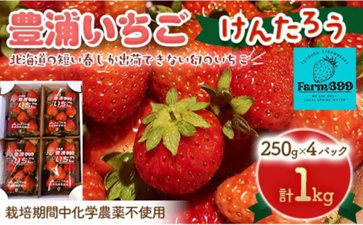 【6/10まで受付！】豊浦いちご 250g×4パック