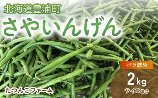 さやいんげん 2kg バラ詰め サイズ混合