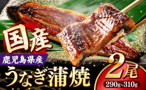【こだわりの鰻の蒲焼き】国産 うなぎ 蒲焼き（鹿児島県産） 2尾 (290〜310g) 