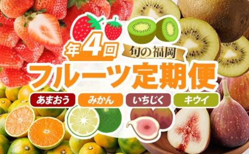 ＜定期便・年4回＞旬の福岡 フルーツ定期便(あまおう/とよみつひめ/早味かん/甘うぃ)