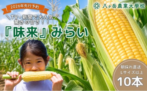 朝採れ 直送 フルーツのような甘さ 『 皮付き 』 生とうもろこし 10本