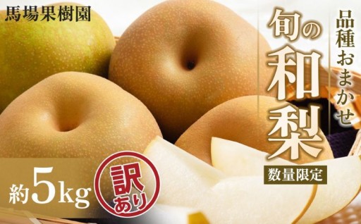 品種おまかせ 旬の和梨 約5kg 8月中旬～順次発送