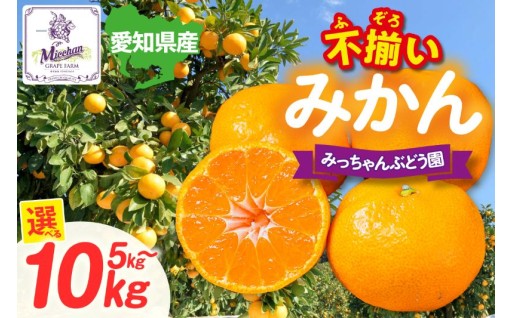【先行予約】【訳あり】🍊不揃いみかん🍊【選べる容量】