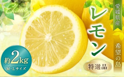 【希望の島】レモン特選品中玉2kg