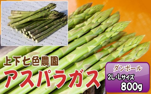 G7広島サミット前菜採用!甘み広がる国産アスパラ
