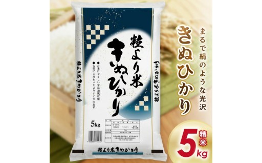 ⭐御坊・日高地方産　粒より米　きぬひかり5kg🍚🌟