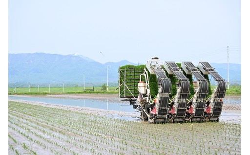 今年も田植えが始まりました！！