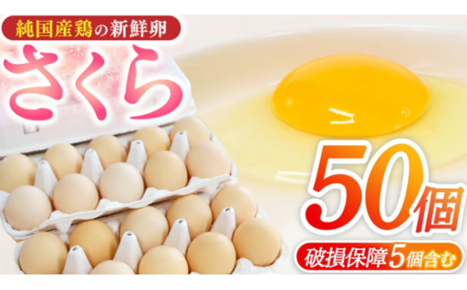 🥚 純国産鶏「さくら」のたまご ✨