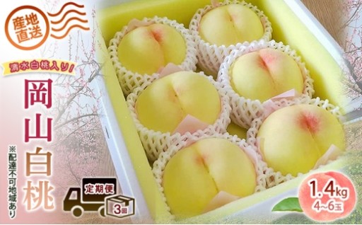 ご家庭用 清水白桃 岡山白桃 食べ比べ定期便 1.4kg(4～6玉) 