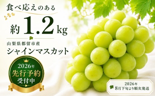 寒暖差が育むパリッと甘い大粒シャインマスカット