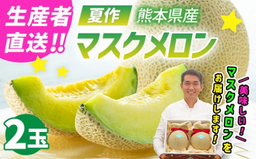 【生産者直送】☆夏作☆ マスクメロン 2玉 合計約3.2kg以上 【2026年7月上旬発送開始】 