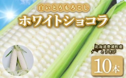 ホワイトショコラ　白いとうもろこし 10本