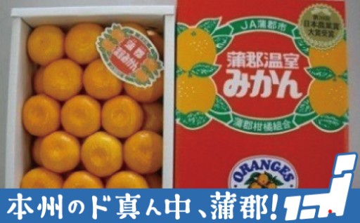 蒲郡温室みかん！