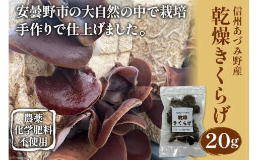 栽培期間中農薬、化学肥料は一切不使用!きくらげ