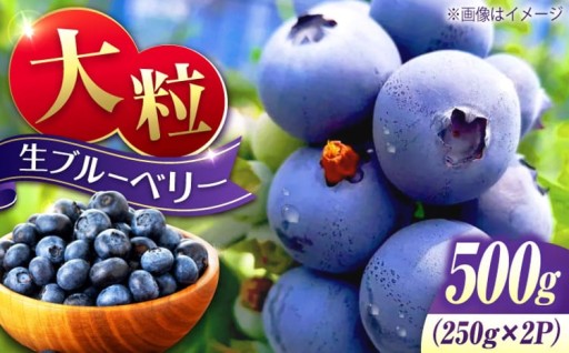 イメージが変わる！大粒ジューシーブルーベリー🫐
