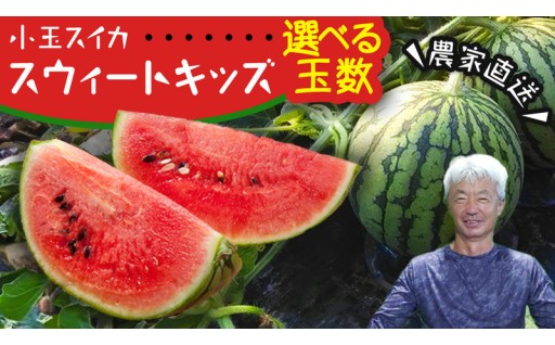 茨城の夏の定番！際まであま～い小玉スイカ🍉