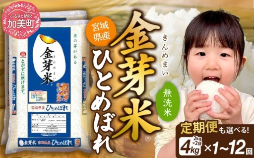 【寄附額改定しました!!】ひとめぼれの旨みを極限まで引き出した「金芽米」