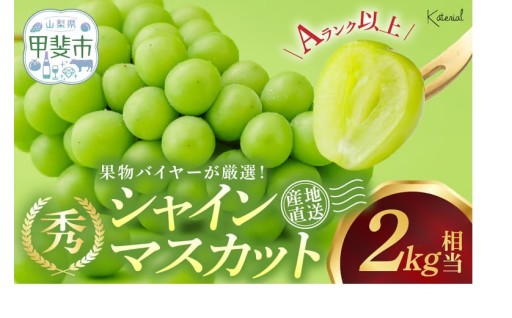 先行予約　シャインマスカット 2.0kg相当
