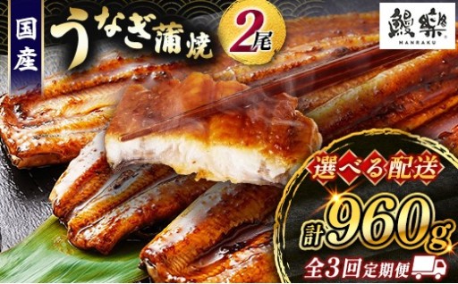 【スタミナ補給、完了🔥】うなぎ蒲焼定期便🚚