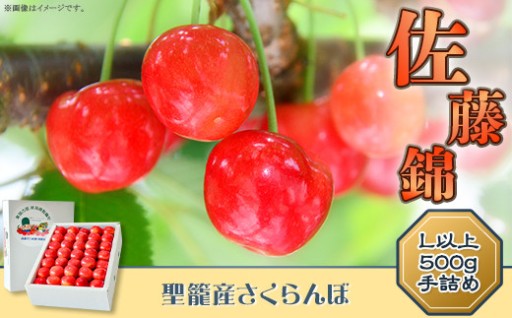 聖籠産さくらんぼ（佐藤錦L以上）500g