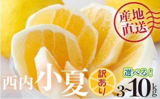 人気の 訳あり『西内小夏』！